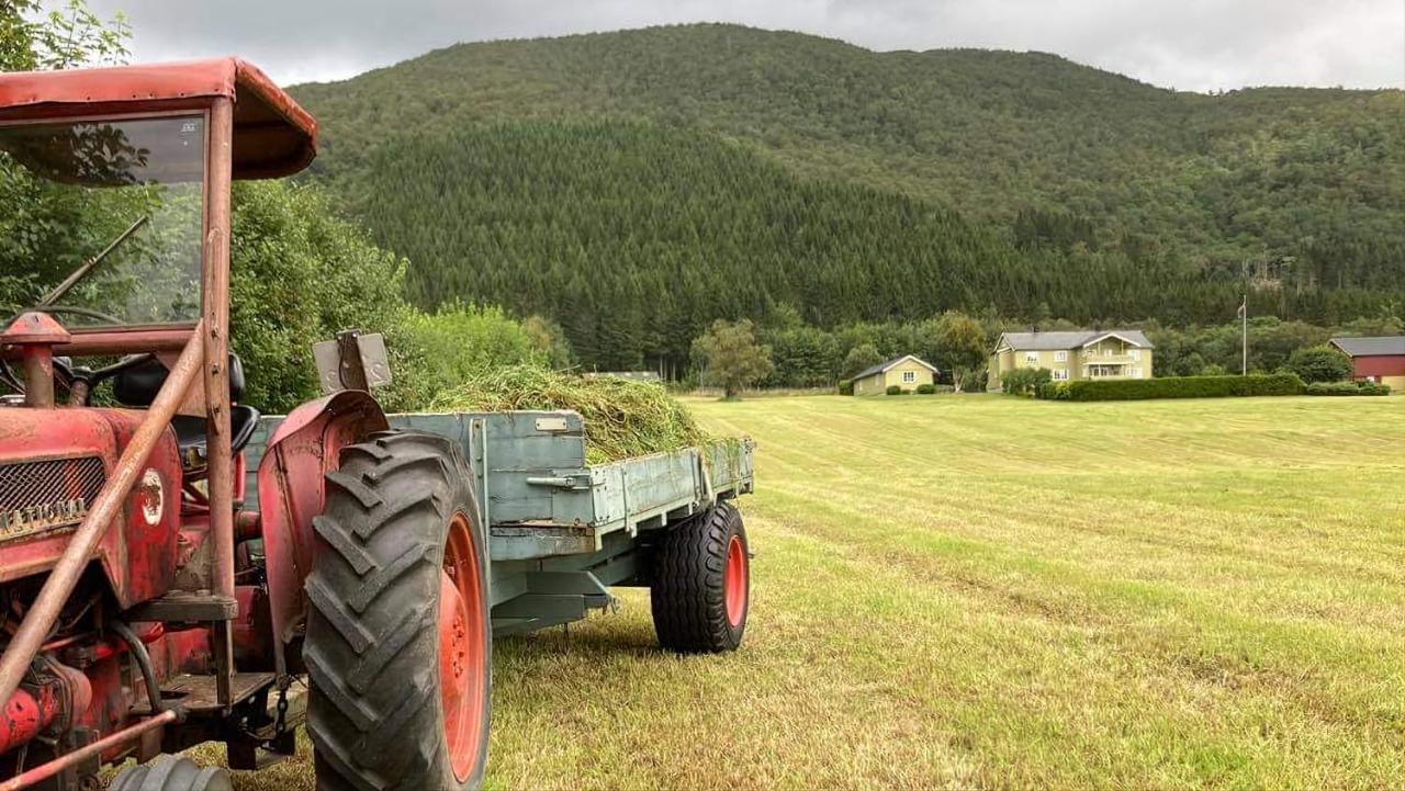 Rødseth gårdsovernatting Hytter Molde Eksteriør bilde